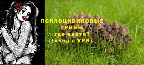 соль ск Абинск