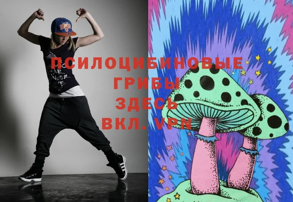 спайс Алексеевка