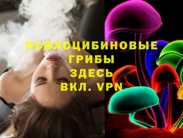 дмт Абаза