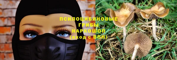 ПСИЛОЦИБИНОВЫЕ ГРИБЫ Абдулино