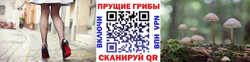 Псилоцибиновые грибы прущие грибы  купить наркоту  Петров Вал 